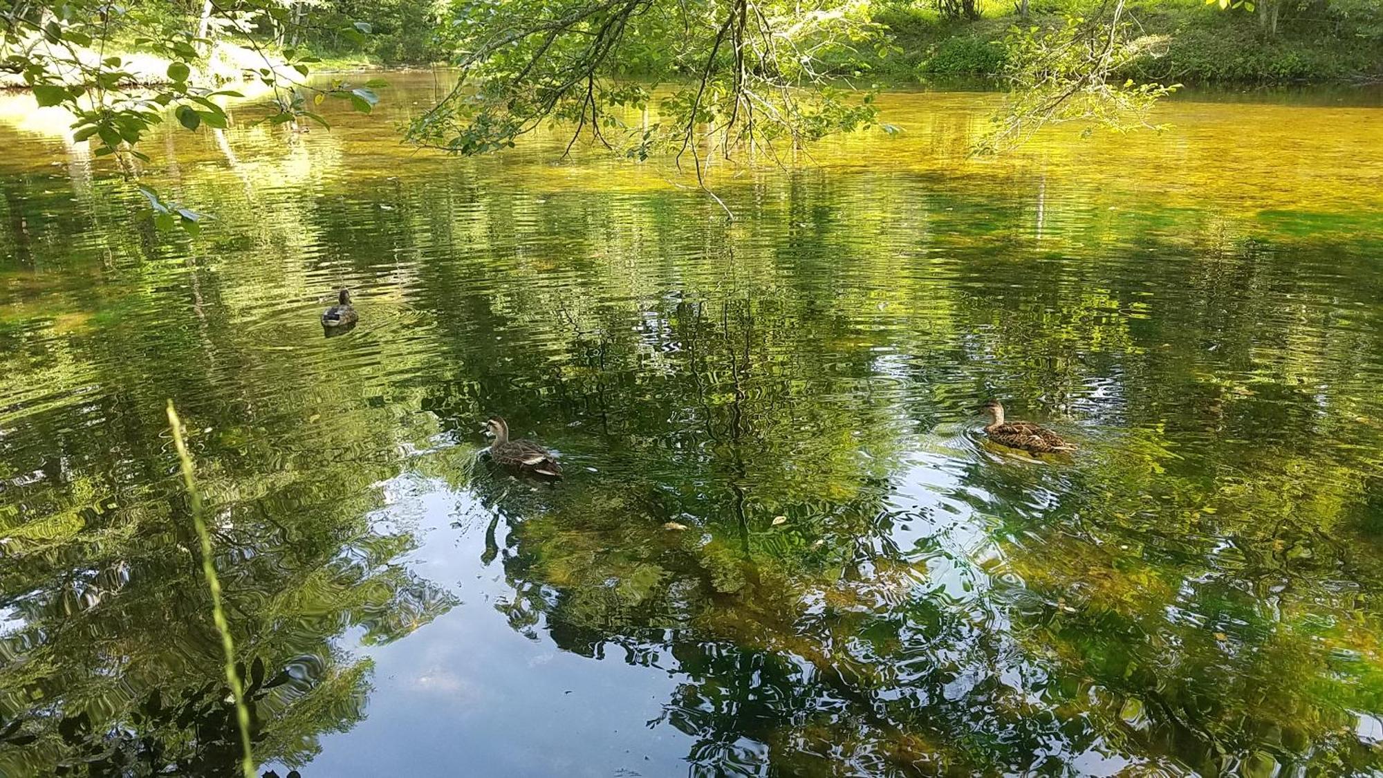 Dormy Club Karuizawa Hotel Bagian luar foto